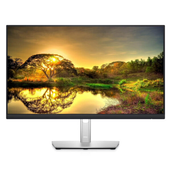 DELL P2422HE 24" MONITOR